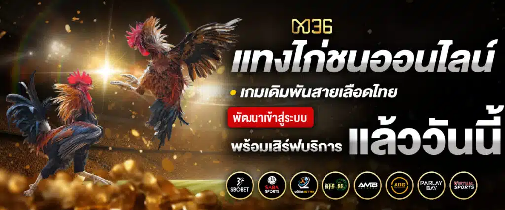 แทงไก่ชนออนไลน์